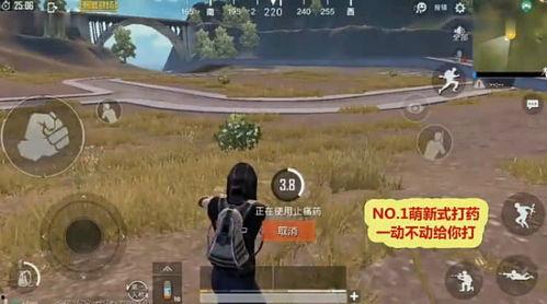 91欧美无掩体视频